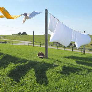 8mm नायलॉन चुंबक मत्स्य पालन रस्सी Carabiner के साथ 65 फीट सुरक्षा रस्सी 9